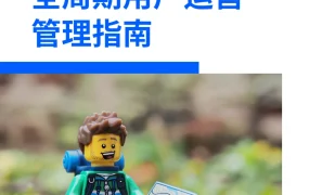 独立站全周期用户运营管理指南-40页
