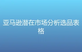 亚马逊潜在市场分析选品表格-2行-1个子表