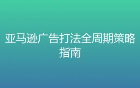 亚马逊广告打法全周期策略指南-42行-1个子表