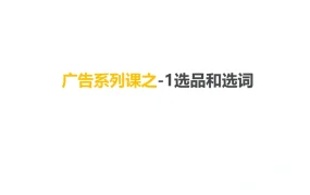 跨境电商广告选品与选词实战指南-11页