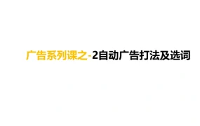 亚马逊自动广告打法及选词策略-10页