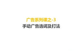 亚马逊手动广告选词及打法实战指南-13页