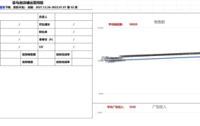 跨境电商店铺周报分享版（含20+类表单类型）-8729行-22个子表