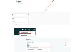 亚马逊开Case路径及注意事项指南-7页