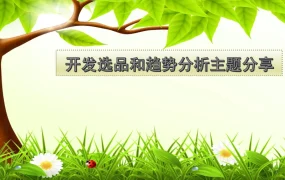 跨境电商开发选品与趋势分析实战指南-34页