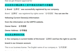亚马逊品牌滥用申诉及律师变更指南-14页