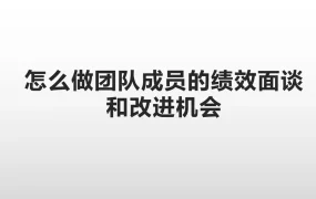 跨境电商团队绩效面谈与改进机会指南-8页