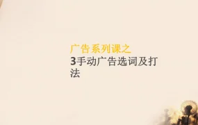 亚马逊手动广告系统性全流程选词及打法详解-13页