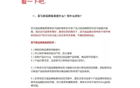 亚马逊品牌备案与产品视频插入指南-13页