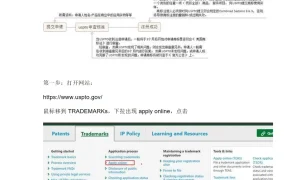 手把手教您如何自己注册美国商标-8页
