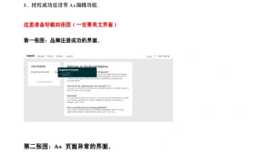 亚马逊授权品牌5461报错解决方案指南-5页