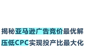揭秘亚马逊广告竞价最优解-28页