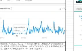 2020亚马逊女性市场选品指南：收纳包、洗护用品支架与旅行套装收纳盒深度调研报告-317行-7个子表