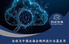 《2022全球与中国出海合规科技行业蓝皮书》-43页