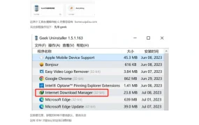 跨境电商视频下载神器IDM白嫖指南-2页
