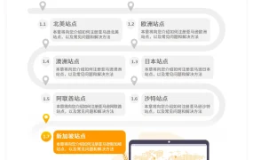 亚马逊新加坡站卖家注册与运营全指南-59页
