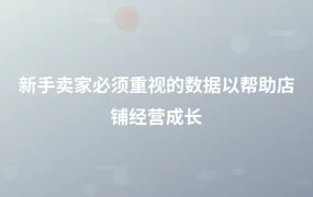 新手卖家必须重视的数据以帮助店铺经营成长-1页