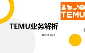 TEMU大卖成长路径分享-50页