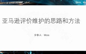 亚马逊评价维护的思路和方法-25页