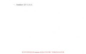 日本Livedoor博客引擎深度解析与亚马逊日本站推广指南-34页
