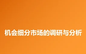 跨境电商细分市场调研与竞品分析指南-27页
