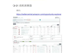 竞品类目转化率分析方法汇总-6页