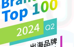 2024年Q2出海品牌社媒影响力TOP100榜单及分析报告-46页