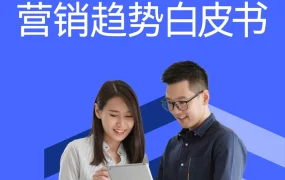 2024出海品牌DTC营销趋势白皮书-46页