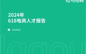2024年618电商人才报告-11页