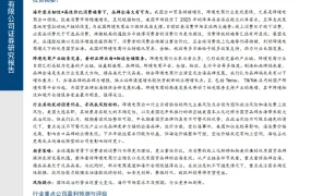 跨境电商行业高性价比消费时代品牌出海大有可为-25页