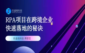 跨境电商RPA项目快速落地十二招-28页