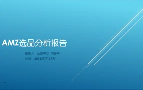 帕拓逊亚马逊选品分析报告-27页