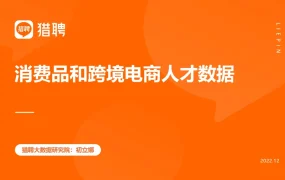 2023消费品和跨境电商人才数据报告-24页
