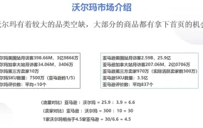 沃尔玛市场与账户类型详解-4页