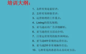 亚马逊大卖家内部运营与广告策略全解析-60页