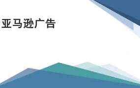 深圳某大卖亚马逊CPC广告优化大全-58页