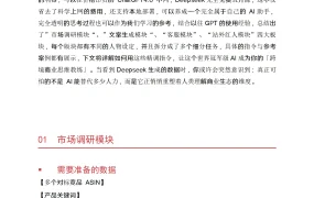 Deepseek亚马逊实操指南2025-20页