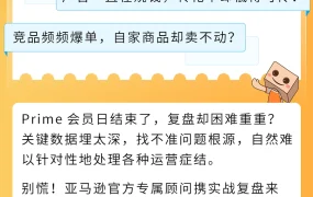 运营指导｜亚马逊官方顾问解析Prime会员日促销复盘要点