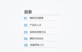 电商产品爆款打造思路及操作流程-37页
