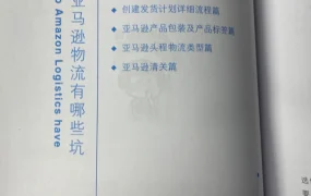 亚马逊物流全攻略：避坑指南与实操手册-19页