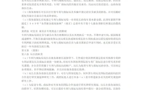 美国专利法2021年版中文版-19页
