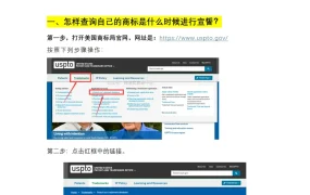 美国商标五年宣誓顺利通过详细流程指南-8页
