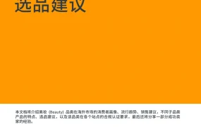 2021年美妆品类跨境电商选品策略与市场分析-54页