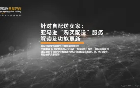 亚马逊自配送卖家购买配送服务全解析-35页