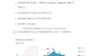 解密俄语最大deal站Mysku推广全攻略-21页