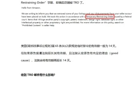 收到TRO邮件后应对指南-4页