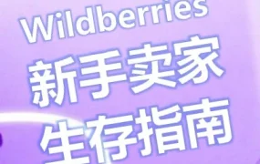 Wildberries平台新手卖家合规避坑指南｜罚款规则与维权申诉流程解析