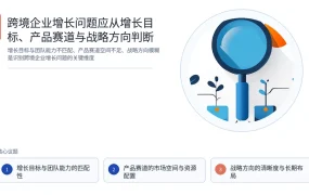 跨境企业增长问题应从增长目标、产品赛道与战略方向判断