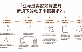 亚马逊卖家如何应对新规下的电子申报要求？
