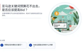 亚马逊关键词预算花不出去，是否应该提高Bid？